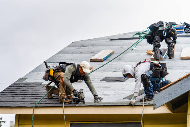 Professional Roofing technician working in Sand Lake, MI